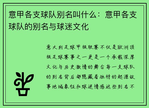 意甲各支球队别名叫什么：意甲各支球队的别名与球迷文化